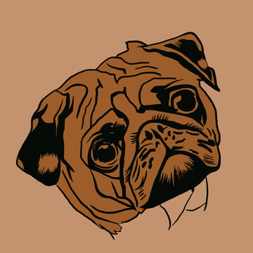 Decorative portrait of pug