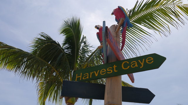 A wooden HARVEST CAYE sign with a parrots next to the palm tree