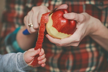 red juicy apples in their hands