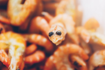 Cheerful happy big-eyed frozen shrimp on the background of a pile of red shrimp. Shrimp in ice in the fridge. Concept of the correct and tasty choice of sea food for the family. Magazine color style