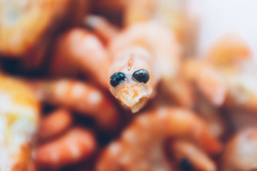 Cheerful happy big-eyed frozen shrimp on the background of a pile of red shrimp. Shrimp in ice in the fridge. Concept of the correct and tasty choice of sea food for the family. Magazine color style