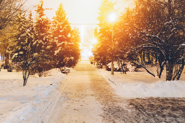 Beautiful snowy evening in the park. Amazing firs in the snow. Golden light bulbs. Romantic mood. Concept of the place you want to get in the winter. Magazine style color