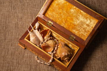 Still life with wooden box with shells and necklace.