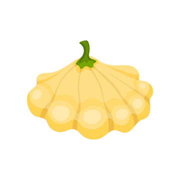 Yellow patisson concept. Vegetarianism and organic food.