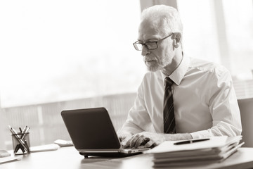 Mature businessman working on laptop, black and white