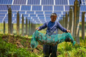 Asian fishermen who capture the joy of crayfish under the solar photovoltaic panel