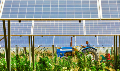 Asian farmer driving a tractor under a solar photovoltaic panel