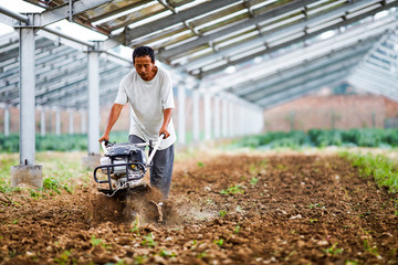 Asian farmer who is mowing grass with a lawn mower