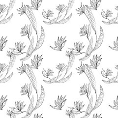 Strelizia tropical paradise pattern for print design. Floral seamless Flower background. Trendy spring blossom decoration.