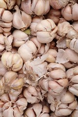 garlic at the market