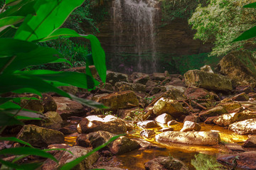 Obraz premium waterfall in the forest