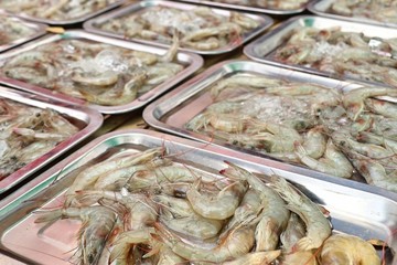 fresh shrimp at street food