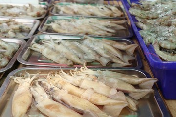 Fresh squid in market