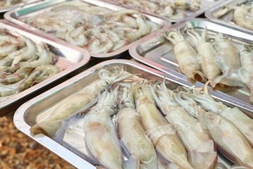 Fresh squid in market
