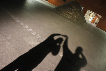 Shadows