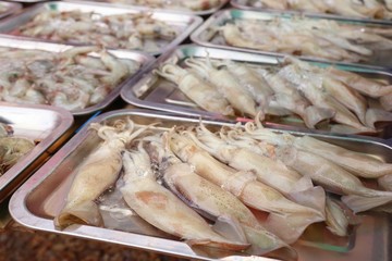 Fresh squid in market