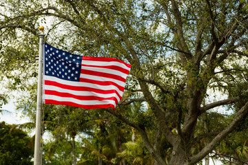 An American flag blowing in the breeze on a beautiful day in the park.