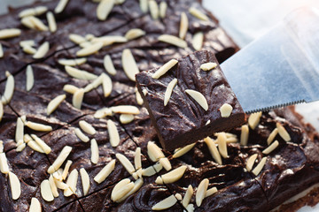 Dark chocolate brownies with almond topping on wire rack.