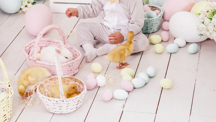 Obraz na płótnie Canvas Easter composition, bunny and ducklings