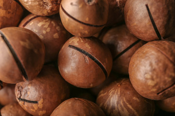 Tasty macadamia nuts, closeup