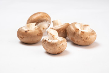 mushrooms on a plain white table