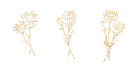 Golden lines of carnation, blank background