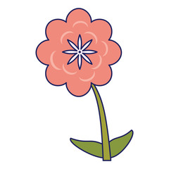 Beautiful flower cartoon isolated blue lines