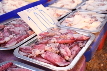 Fresh squid in market