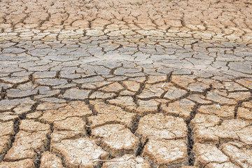 Cracked soil