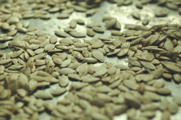 Dried pumpkin seeds in a round metal pan. Selective soft focus, close-up.