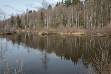 Feuchtgebiet Schwarzbachtal im Sauerland