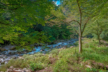 三段峡 渓谷のせせらぎ