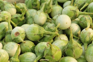 Fresh eggplant green organic at street food