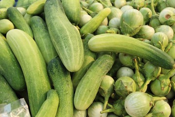 Fresh cucumbers for cooking in the market