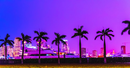 Palm trees under a colorful sky in Miami Beach