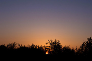 Cielo degradado al atardecer
