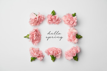 top view of floral frame made of pink carnations on white background with hello spring lettering
