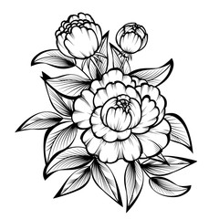 Fototapeta premium Branch of roses