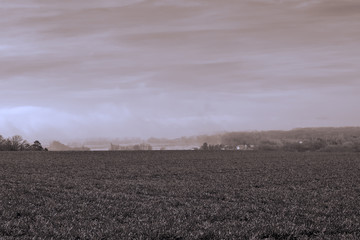 Blick von Wilhering zum Donaukraftwerk Ottensheim