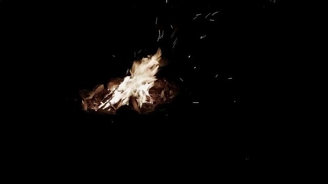 A campfire burns brightly at night.