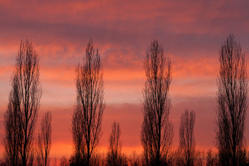 Obraz premium tramonto d'inverno