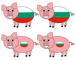 a smiling and happy pig raised in Bulgaria