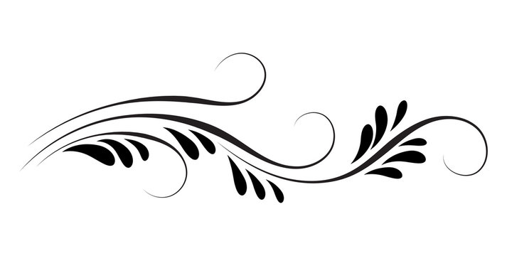 Decorative floral ornament for stencil isolated on white