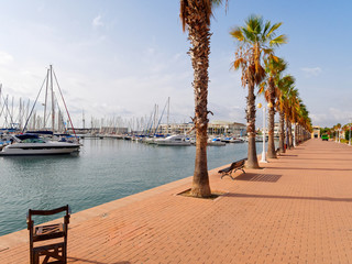 Beautiful promenade in Alicante. View of palm trees and port. Spain
