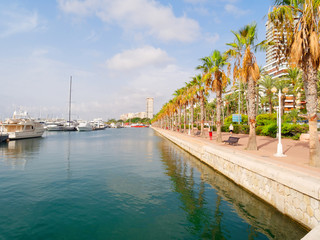 Beautiful promenade in Alicante. View of palm trees and port. Spain.
