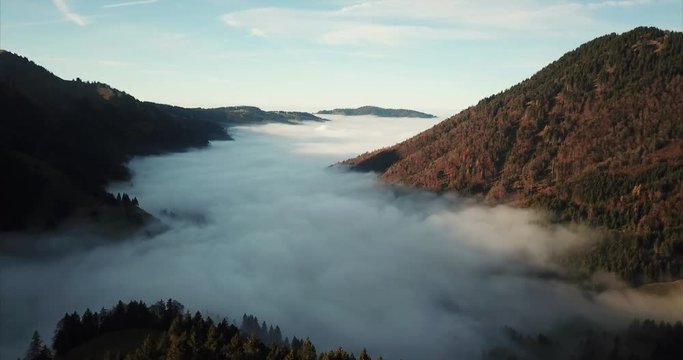 Appenzell,Switzerland,Europe,Swiss,culture,nature,outdoor,forest,pinetrees,fog,mist,clouds,white,covering,hills,valy,road,narow road,winding road,car,Santis,chalt,