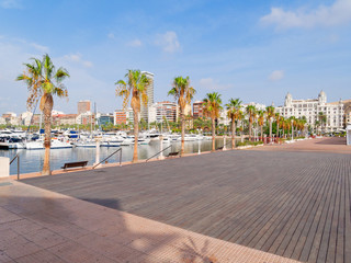 Beautiful promenade with palm trees in Alicante. Spain. - obrazy, fototapety, plakaty