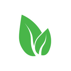 Green leaf, Eco icon. Vector illustration, flat design.