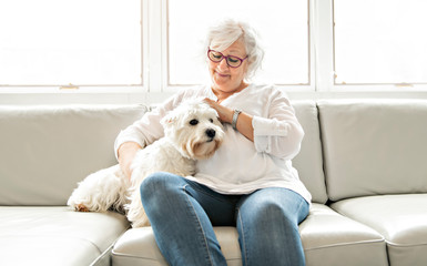 The Therapy pet on couch next to elderly person in retirement rest home for seniors