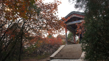 Fototapeta premium SONY DSC